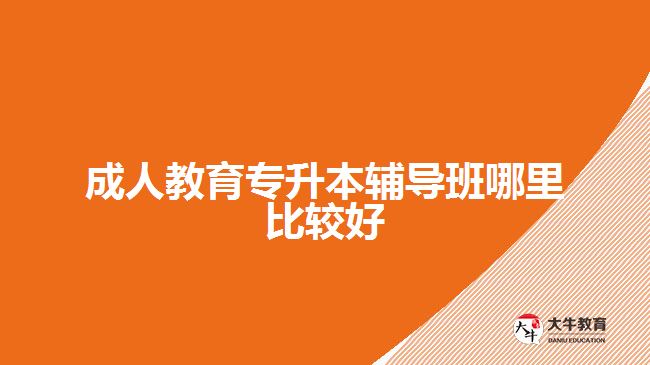 成人教育專(zhuān)升本輔導(dǎo)班哪里比較好