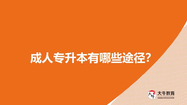 成人專升本有哪些途徑？