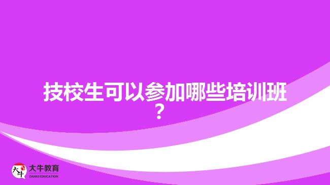技校生可以參加哪些培訓(xùn)班？