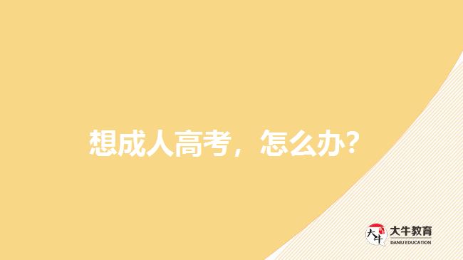 想成人高考，怎么辦？