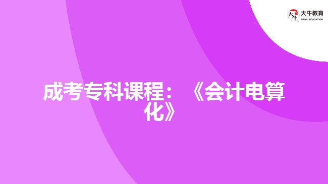 成考?？普n程：《會(huì)計(jì)電算化》