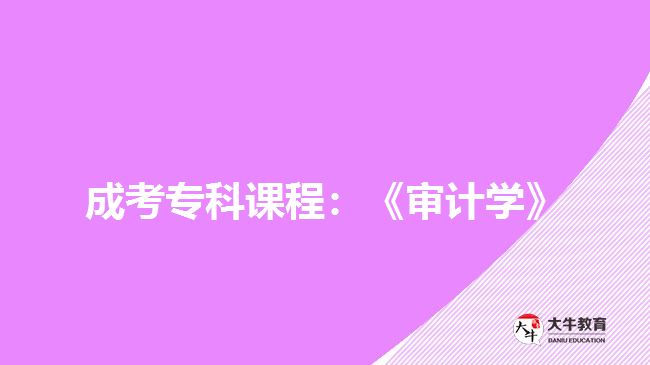 成考?？普n程：《審計(jì)學(xué)》