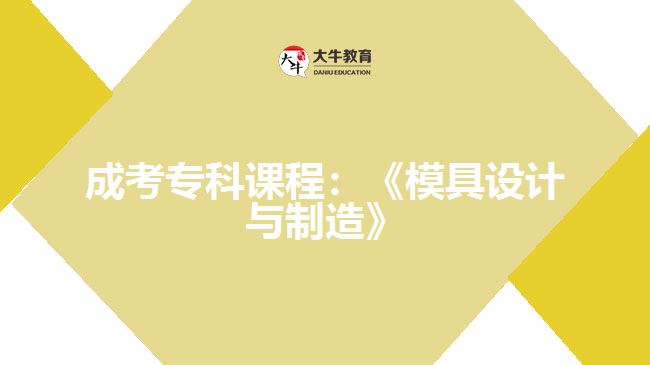 成考?？普n程模具設(shè)計(jì)與制造