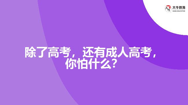 除了高考，還有成人高考，你怕什么？