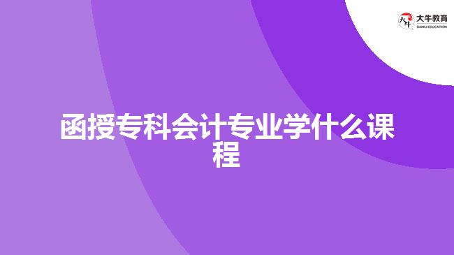 會(huì)計(jì)專(zhuān)業(yè)學(xué)習(xí)課程