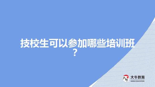 技校生可以參加哪些培訓(xùn)班？