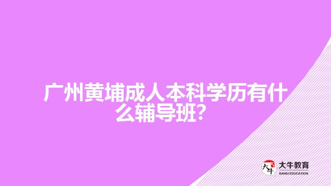 廣州黃埔成人本科學(xué)歷有什么輔導(dǎo)班？