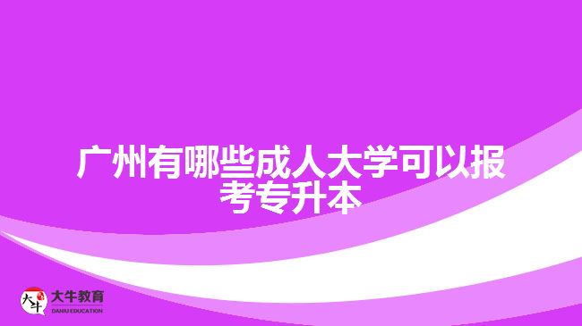 廣州有哪些成人大學(xué)可以報(bào)考專升本？