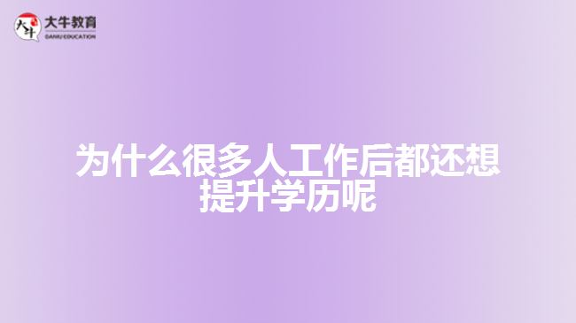 為什么很多人工作后都還想提升學歷呢