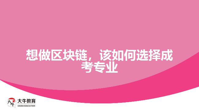 想做區(qū)塊鏈，該如何選擇成考專業(yè)