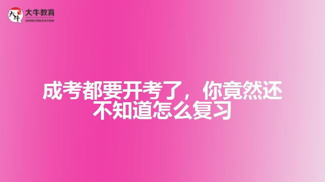 成考都要開考了，你竟然還不知道怎么復習