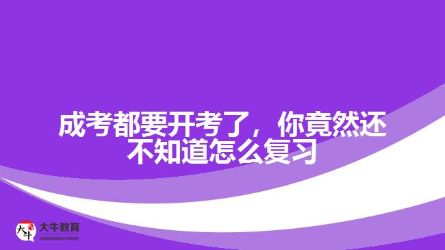 成考都要開(kāi)考了，你竟然還不知道怎么復(fù)習(xí)