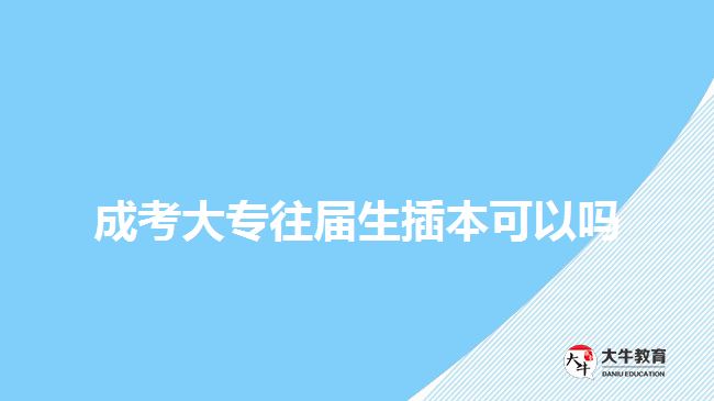 成考大專(zhuān)往屆生插本可以嗎