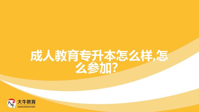 成人教育專升本怎么樣,怎么參加？