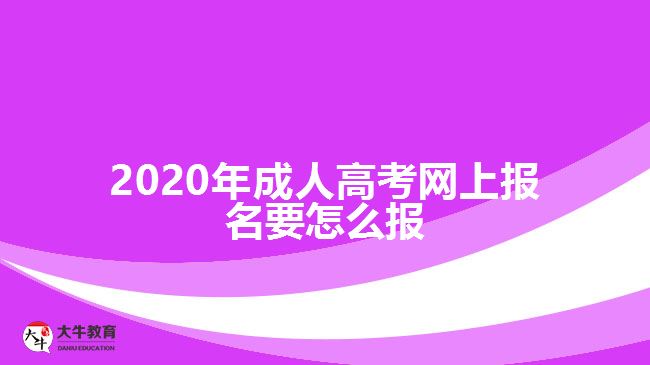 ，2020年成人高考網(wǎng)上報名要怎么報