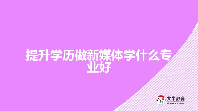提升學歷做新媒體學什么專業(yè)好