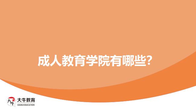 成人教育學(xué)院有哪些？
