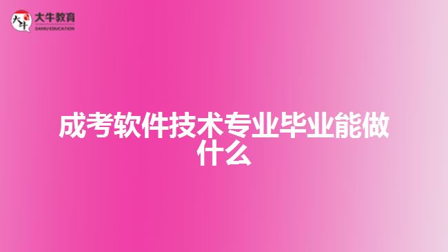 成考軟件技術專業(yè)畢業(yè)能做什么