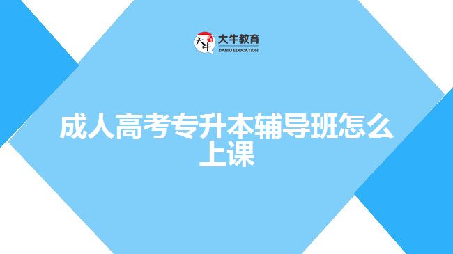 成人高考專(zhuān)升本輔導(dǎo)班怎么上課