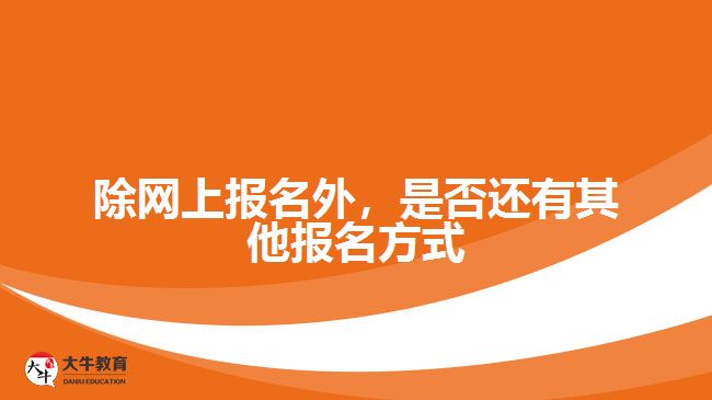 除網(wǎng)上報名外，是否還有其他報名方式