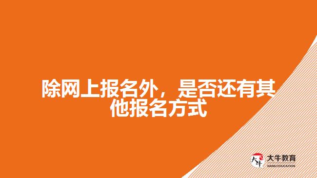 除網(wǎng)上報(bào)名外，是否還有其他報(bào)名方式