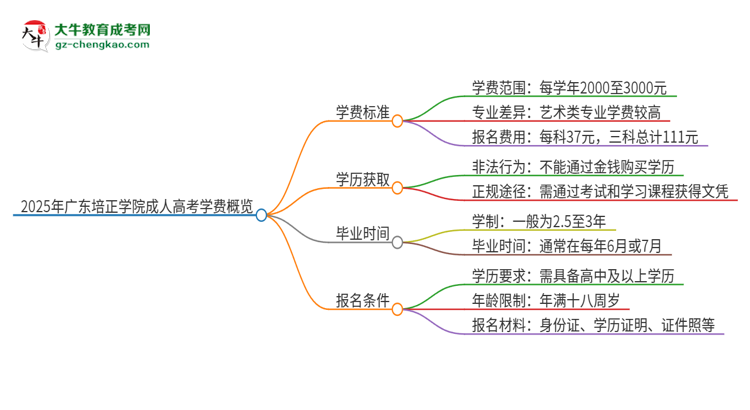 2025年廣東培正學(xué)院成人高考一年學(xué)費要多少？思維導(dǎo)圖