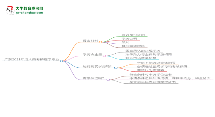 廣東2025年成人高考護(hù)理學(xué)專業(yè)學(xué)歷能考公嗎？思維導(dǎo)圖