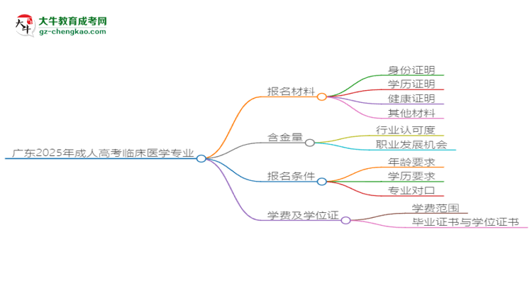 廣東2025年成人高考臨床醫(yī)學(xué)專(zhuān)業(yè)學(xué)歷能考公嗎？思維導(dǎo)圖