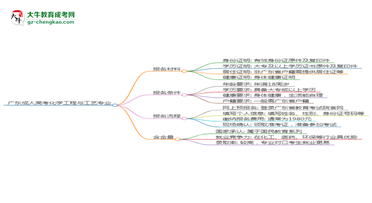 廣東2025年成人高考化學(xué)工程與工藝專業(yè)學(xué)歷能考公嗎？思維導(dǎo)圖