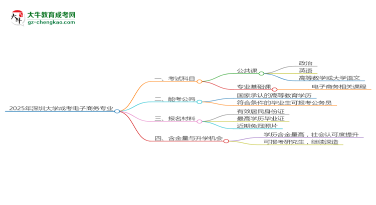 2025年深圳大學成考電子商務專業(yè)入學考試科目有哪些？思維導圖