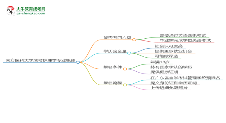 南方醫(yī)科大學(xué)2025年成考護(hù)理學(xué)專業(yè)生可不可以考四六級(jí)？思維導(dǎo)圖