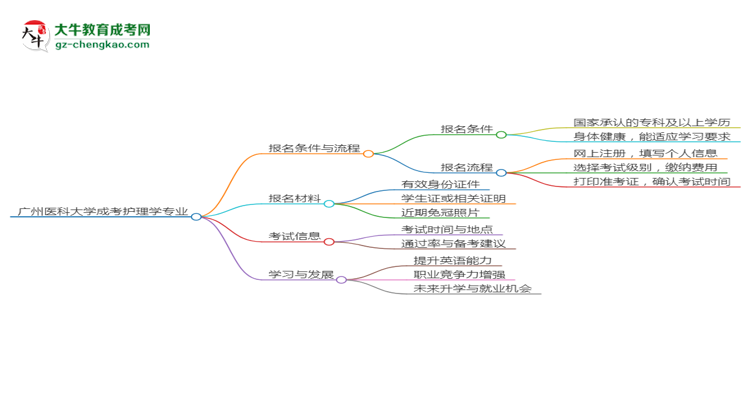 廣州醫(yī)科大學(xué)2025年成考護(hù)理學(xué)專業(yè)生可不可以考四六級？思維導(dǎo)圖