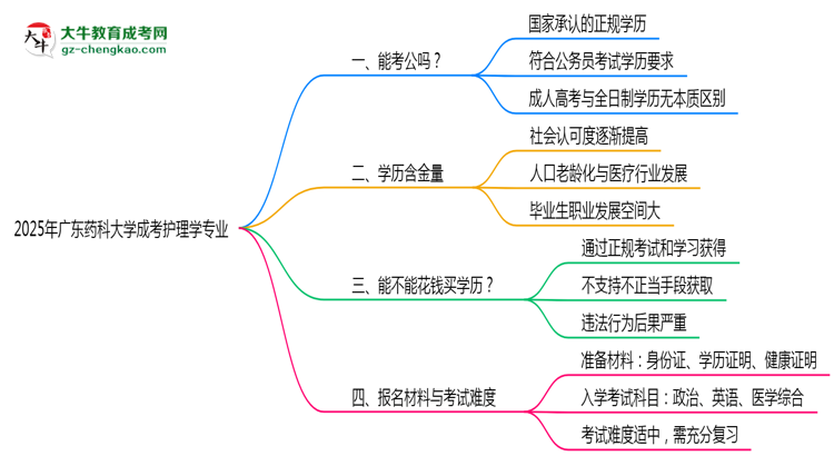 廣東藥科大學(xué)2025年成考護理學(xué)專業(yè)學(xué)歷能考公嗎？思維導(dǎo)圖