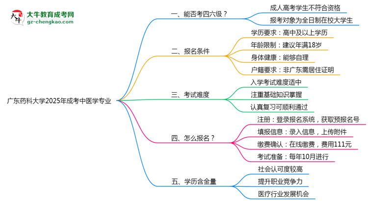 廣東藥科大學2025年成考中醫(yī)學專業(yè)生可不可以考四六級？思維導(dǎo)圖