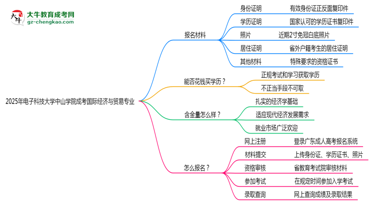 2025年電子科技大學(xué)中山學(xué)院成考國(guó)際經(jīng)濟(jì)與貿(mào)易專(zhuān)業(yè)報(bào)名材料需要什么？思維導(dǎo)圖