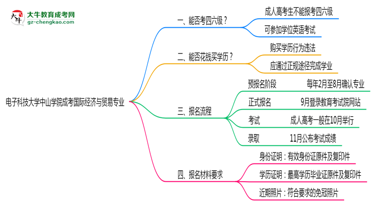 電子科技大學(xué)中山學(xué)院2025年成考國際經(jīng)濟與貿(mào)易專業(yè)生可不可以考四六級？思維導(dǎo)圖