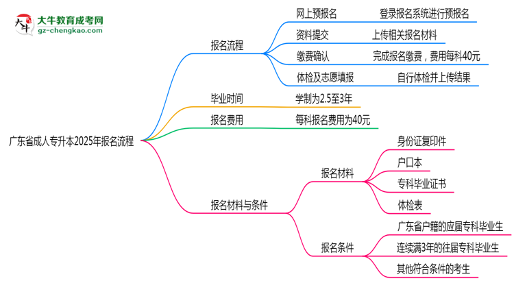 廣東省成人專升本2025年報(bào)名流程思維導(dǎo)圖