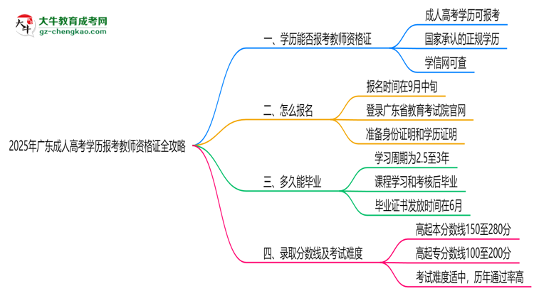 2025年廣東成人高考學(xué)歷報(bào)考教師資格證全攻略思維導(dǎo)圖
