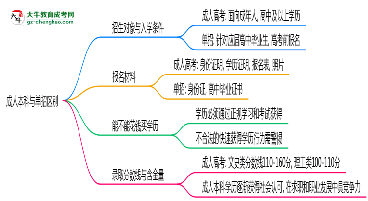 成人本科與單招區(qū)別在哪？2025年深圳考生必看對比指南思維導(dǎo)圖