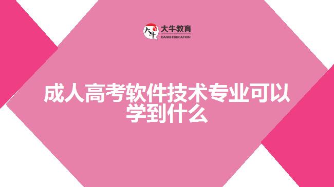 成人高考軟件技術(shù)專業(yè)可以學到什么