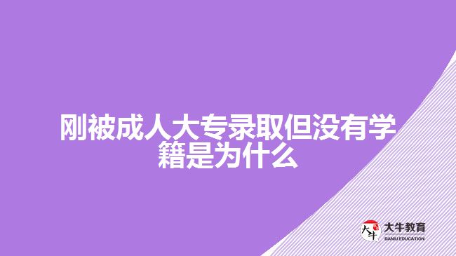 剛被成人大專(zhuān)錄取但沒(méi)有學(xué)籍是為什么