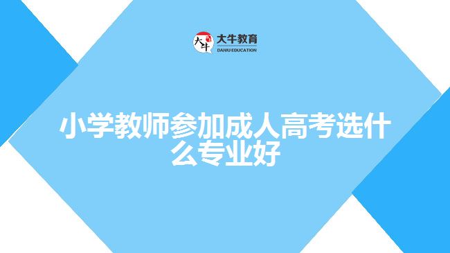 小學(xué)教師參加成人高考選什么專(zhuān)業(yè)好