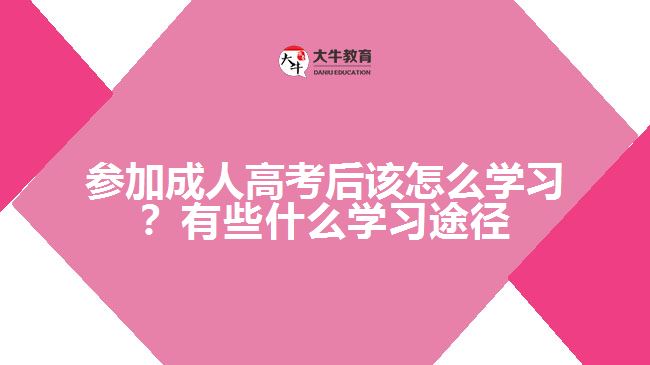參加成人高考后該怎么學習？有些什么學習途徑