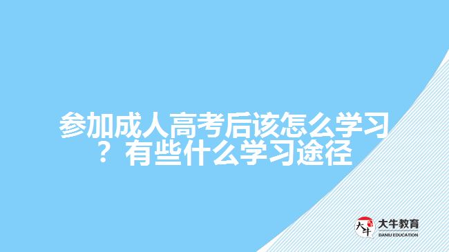 參加成人高考后該怎么學習？有些什么學習途徑