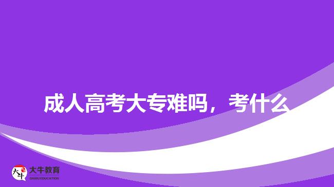 成人高考大專難嗎，考什么