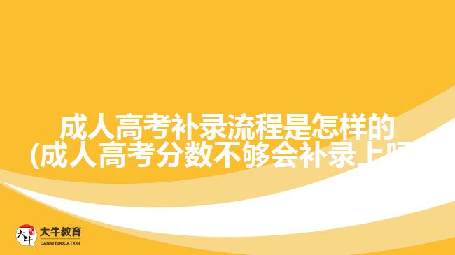 成人高考補(bǔ)錄流程是怎樣的(成人高考分?jǐn)?shù)不夠會補(bǔ)錄上嗎)