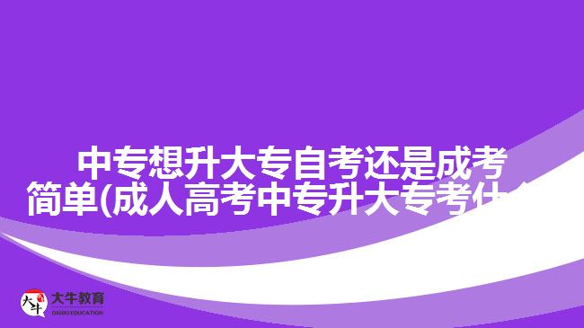 中專想升大專自考還是成考簡單(成人高考中專升大?？际裁?