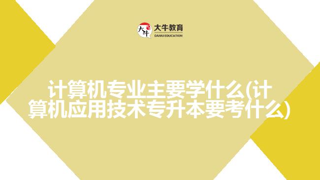 計算機專業(yè)主要學什么(計算機應用技術專升本要考什么)