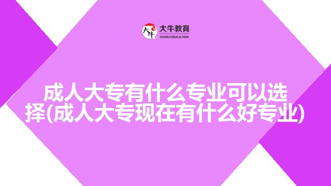 成人大專有什么專業(yè)可以選擇(成人大?，F(xiàn)在有什么好專業(yè))