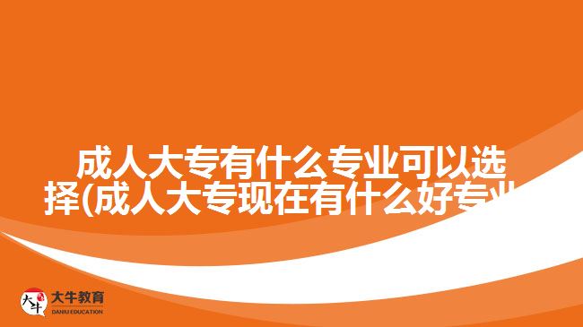 成人大專有什么專業(yè)可以選擇(成人大?，F(xiàn)在有什么好專業(yè))